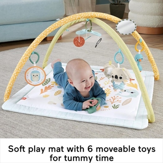 F/P JMN74 SIMPLY SENSES NEWBORN GYM