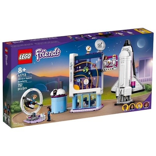 LEGO 41713
