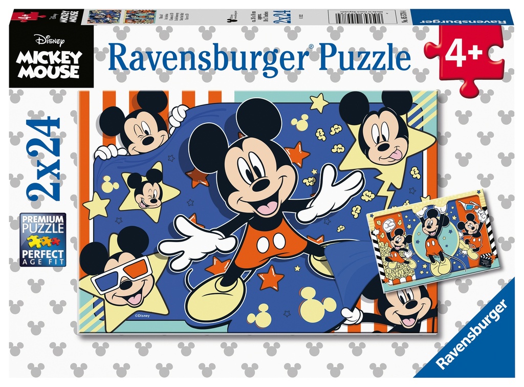 R/B PUZZLE 2X24 PCS