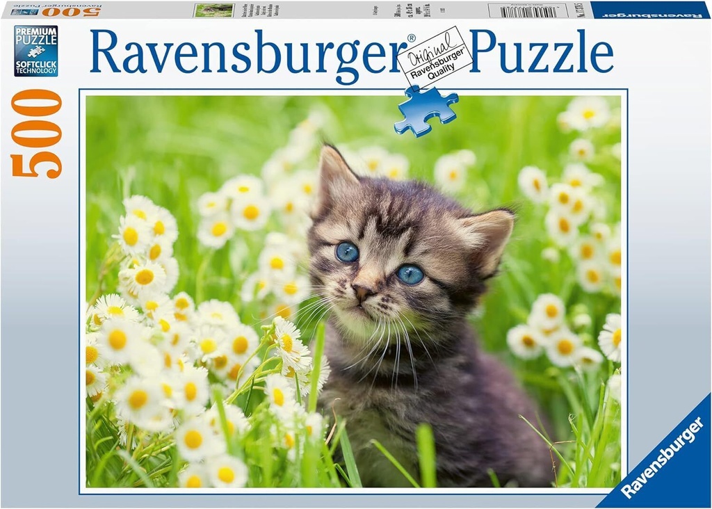 R/B PUZZLE 500 PCS