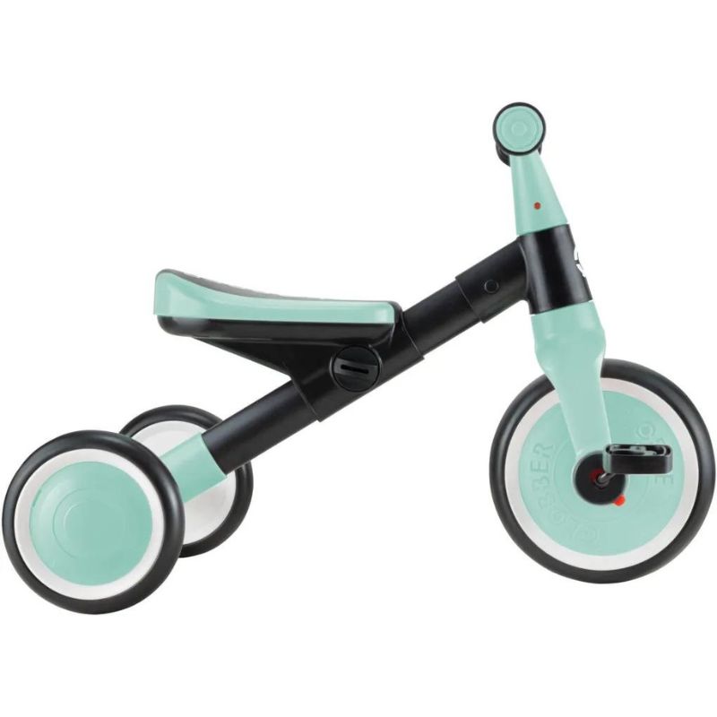 GLOBBER LEARNING TRIKE MINT