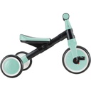 GLOBBER LEARNING TRIKE MINT