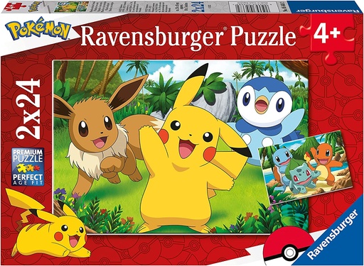 R/B PUZZLE 2X24 PCS