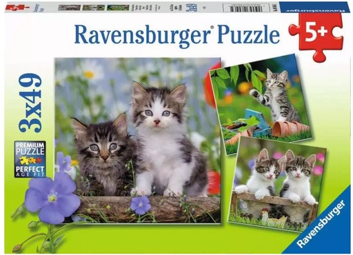 R/BURGER PUZZLE 3X49 PCS