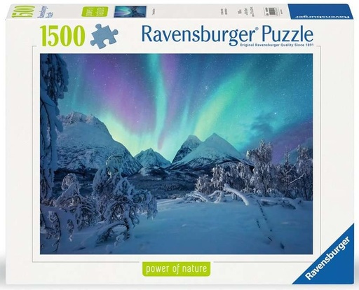 R/BURGER PUZZLE 1500PCS