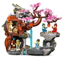LEGO 71819 DRAGON STONE SHRINE