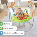 F/P CHM91 JUMPEROO LION