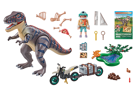 PLAYMOBIL 71524