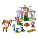 LEGO 41746