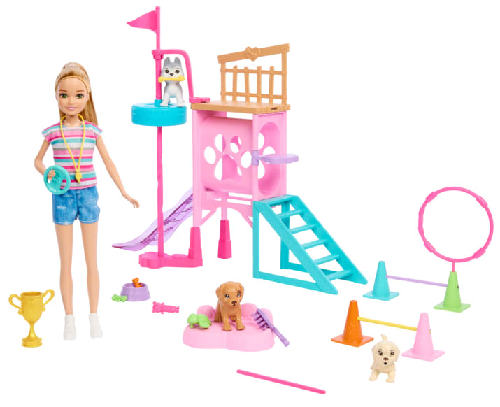 BARBIE HRM10 DOG TRAINING
