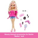 BARBIE HYC21 BESTIES BARBIE