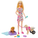 BARBIE HTK37 WITH DOLL AND PET WHEELCHAIR