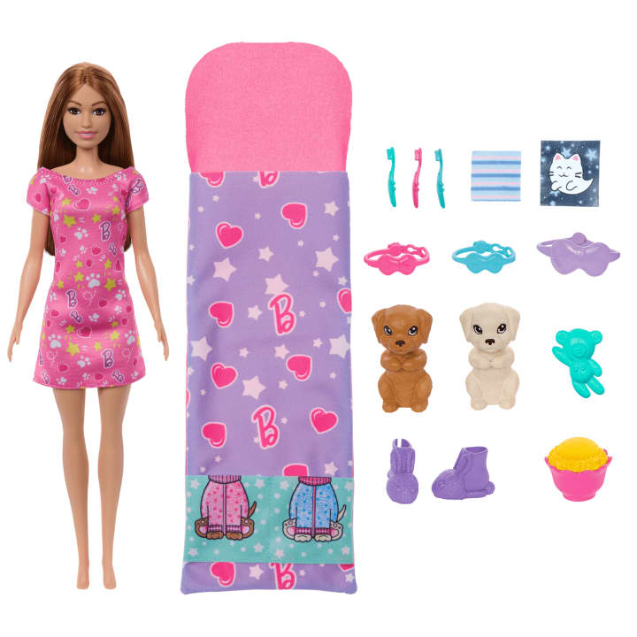 BARBIE HXN01 PUPPY SLEEPOVER