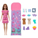 BARBIE HXN01 PUPPY SLEEPOVER