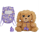 BABY PAWS LABRADOODLE AGAPI & FRONTIDA
