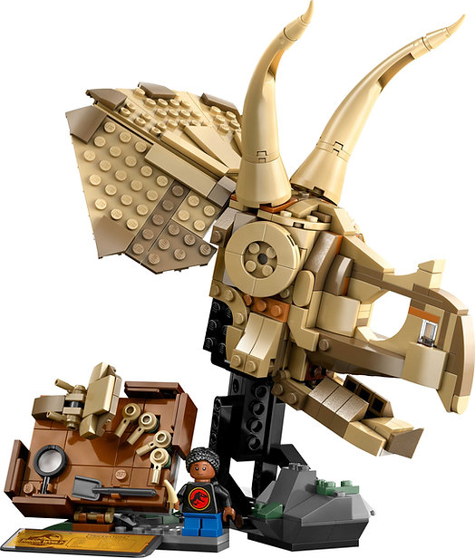 LEGO 76969