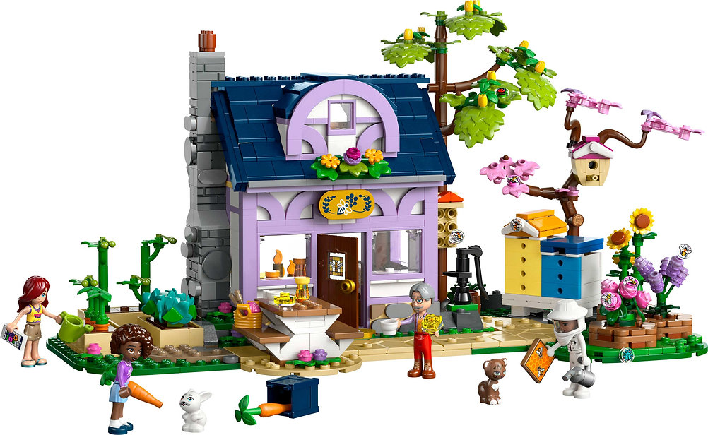 LEGO 42669