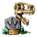 LEGO 76964 DINOSAUR FOSSILS: T. REX SKULL