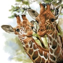 DIAMOND DOTZ DD8.017 TALL & TENDER