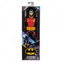 ROBIN 30CM 6067624