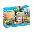 PLAYMOBIL 71839