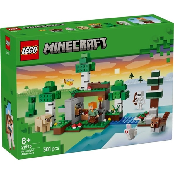 LEGO 21593 FIRST NIGHT ADVENTURE