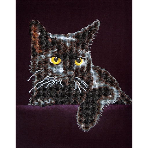 DIAMOND DOTZ DD5.001 MIDNIGHT CAT