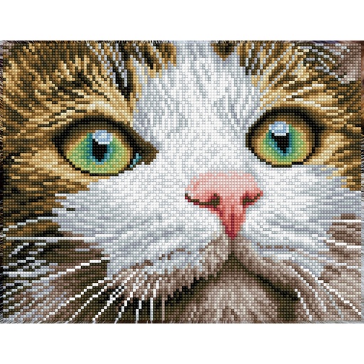 DIAMOND DOTZ DD6.029 GREEN EYED BEAUTY