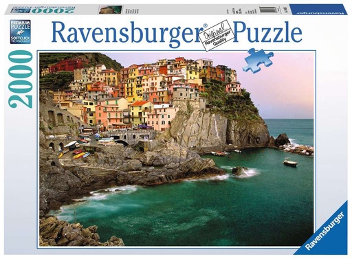 R/BURGER PUZZLE 2000 PCS