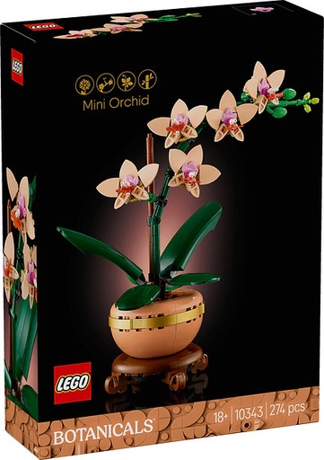 [LG10343] LEGO 10343