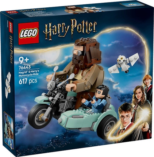 [LG76443] LEGO 76443