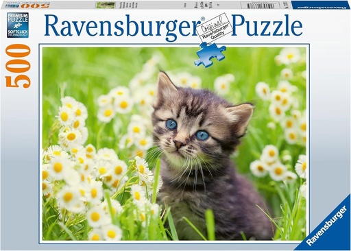 R/B PUZZLE 500 PCS